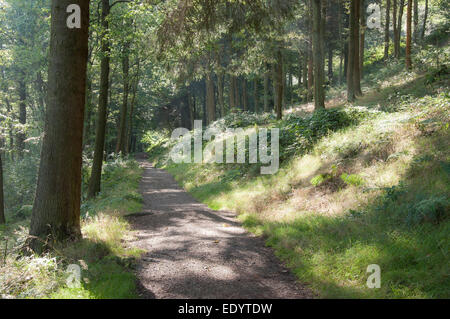 Fumoso luce del sole di mattina su un sentiero accanto al serbatoio Ladybower nel Peak District, Derbyshire. Foto Stock