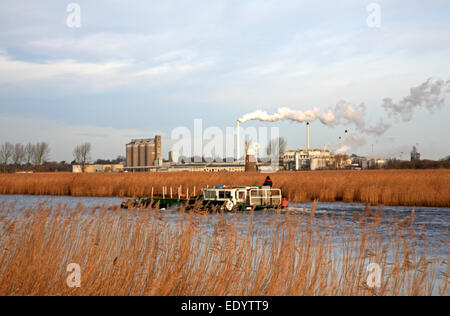 Un workboat sul fiume y vengono con la British Sugar factory in background a Cantley, Norfolk, Inghilterra, Regno Unito. Foto Stock