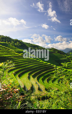 Foto orizzontale dei terrazzi di riso in Cina Foto Stock