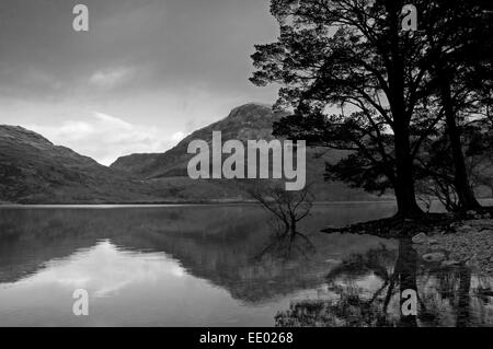 Beinn un Mhuinidh e Loch Maree in bianco e nero Foto Stock