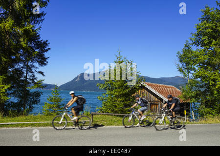 Blick auf den Walchensee, Tölzer Land, Isarwinkel, Bayern, Oberbayern, Deutschland, Vista Lago Walchensee, Baviera, Superiore Bava Foto Stock