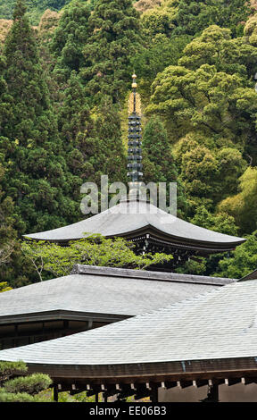 Saiho-ji il tempio zen (Koke-dera, il tempio di Moss), Kyoto, Giappone. Foto Stock