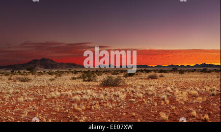 Colorato tramonto nel deserto del Kalahari, Namibia Foto Stock