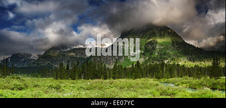 Bellissima valle nelle montagne di Altai Foto Stock