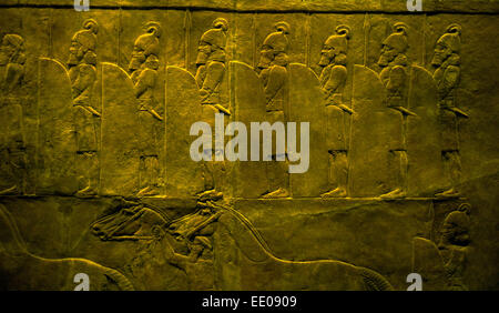 British Museum di Londra England Regno Unito. Leone assiro Hunt. Gennaio 2015 Re Ashurbanipal caccia i Lions. Bassorilievo scolpito del pannello in Foto Stock