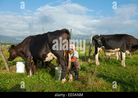 Dominikanische Republik, Südwesten, Mann melkt Kuh auf Weide bei Rancho Arriba östlich von San Jose de Ocoa an der Strasse zur A Foto Stock