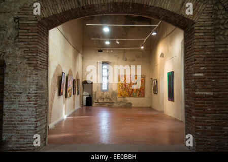 Salone di autunno mostra d'arte, il Palazzo dei Re di Maiorca, Perpignan, Pyrenees-Orientales, Francia Foto Stock