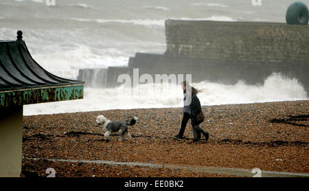 Brighton, Regno Unito. Il 12 gennaio, 2015. Regno Unito Meteo: un giovane a piedi il loro cane in alta venti sulla spiaggia di Brighton il cattivo tempo batte la costa sud di oggi Foto Stock