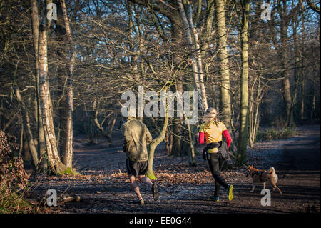 Un giovane e il loro cane che corre attraverso Thorndon Park in Essex. Foto Stock