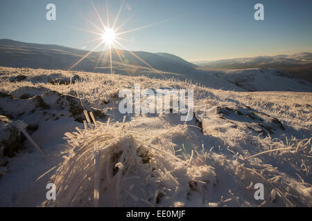 Guardando attraverso hoare erba smerigliato sulla gamma Helvellyn, Lake District, UK. Foto Stock