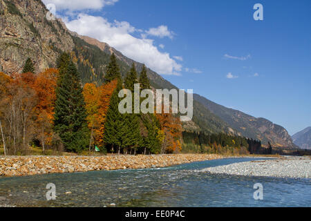 I fiumi di montagna del Caucaso. Aree protette del Caucaso in prossimità del villaggio di Dombay Foto Stock