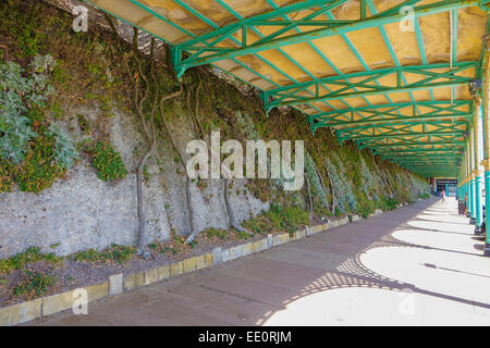 Brighton East Sussex Regno Unito estate cielo blu Foto Stock