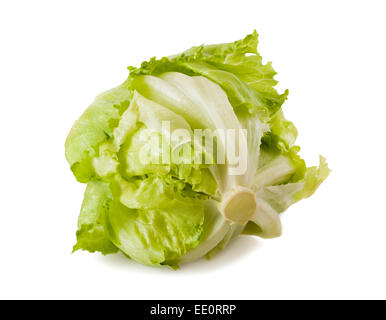 Il verde di lattuga iceberg isolato su sfondo bianco Foto Stock
