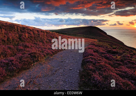 Il percorso costiero su Hodstone giù per Girt giù al tramonto, North Devon Foto Stock