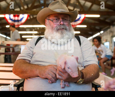 Un Americano di maiale agricoltore detiene tre giorni piglet a Washington State Fair in Puyallup Foto Stock