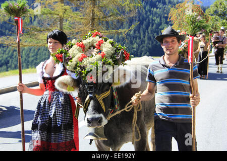 Almabtrieb, Viehscheid in Jerzens, Pitztal Tirol, Österreich (nur redaktionell nutzbar, kein modello di rilascio vorhanden) Foto Stock