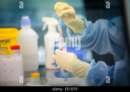 Le cellule staminali biobanca Foto Stock