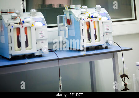 Le cellule staminali biobanca Foto Stock