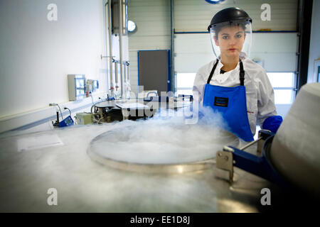Le cellule staminali biobanca Foto Stock