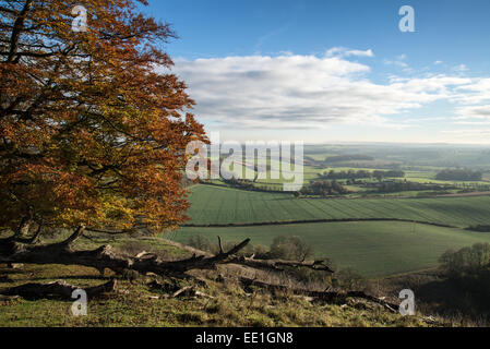 Mattina bellissima vista sulla campagna di laminazione del paesaggio in autunno Foto Stock