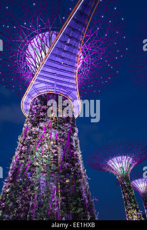 Giardini dalla baia di notte, Singapore, Sud-est asiatico, in Asia Foto Stock