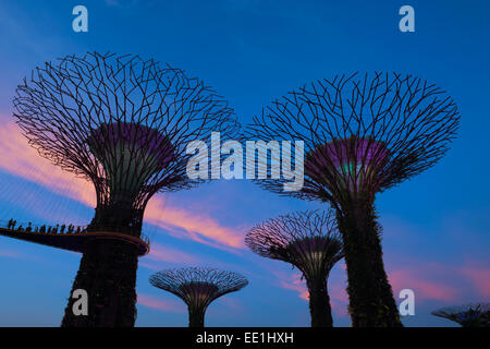 Giardini dalla baia di notte, Singapore, Sud-est asiatico, in Asia Foto Stock