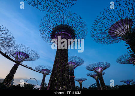 Giardini dalla baia di notte, Singapore, Sud-est asiatico, in Asia Foto Stock