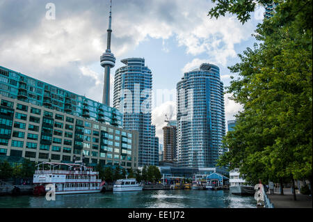 La CN Tower dietro alti edifici nel centro cittadino di Toronto, Ontario, Canada, America del Nord Foto Stock