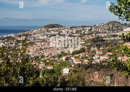 Vista da sopra il cuore della capitale Funchal, Madeira, Portogallo, Atlantico, Europa Foto Stock