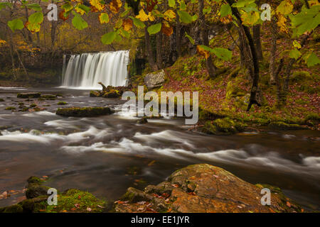 Scwd Ddwil, vicino Pontneddfechan, Ystradfellte, Parco Nazionale di Brecon Beacons, Powys, Wales, Regno Unito, Europa Foto Stock