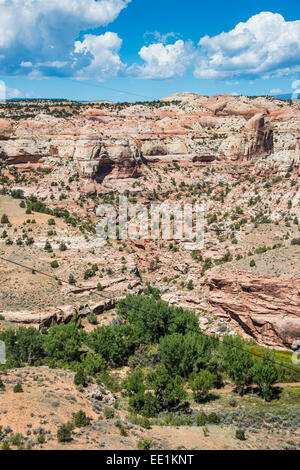 Vista sulle scogliere di arenaria della Scalinata Escalante National Monument, Utah, Stati Uniti d'America, America del Nord Foto Stock