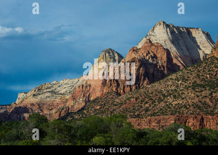 In ritardo la luce del sole incandescente sulle rocce del Parco Nazionale di Zion, Utah, Stati Uniti d'America, America del Nord Foto Stock