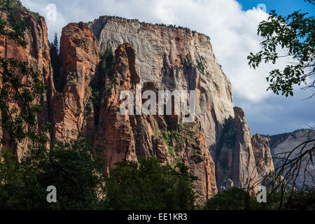 Le torreggianti scogliere del Parco Nazionale di Zion, Utah, Stati Uniti d'America, America del Nord Foto Stock