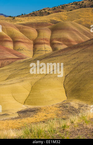 Sulle colline colorate delle colline dipinte in unità di John Day Fossil Beds National Monument, Oregon, Stati Uniti d'America Foto Stock