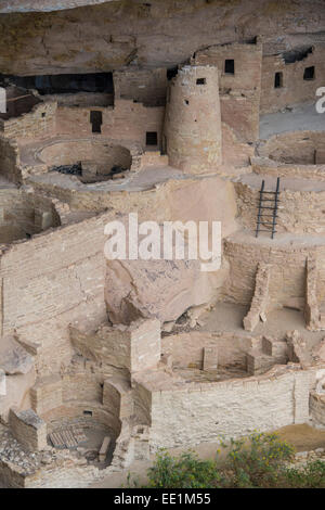 Il Cliff Palace Indian abitazione, Mesa Verde National Park, sito Patrimonio Mondiale dell'UNESCO, Colorado, Stati Uniti d'America Foto Stock