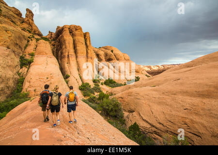 Trekking a piedi lungo il sentiero Slickrock vicino, Moab, Utah, Stati Uniti d'America, America del Nord Foto Stock