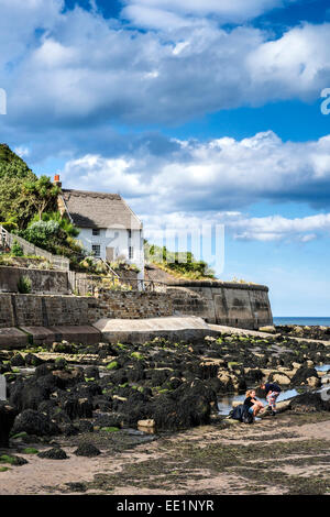 Pomeriggio di luce su Runswick Bay Village Foto Stock