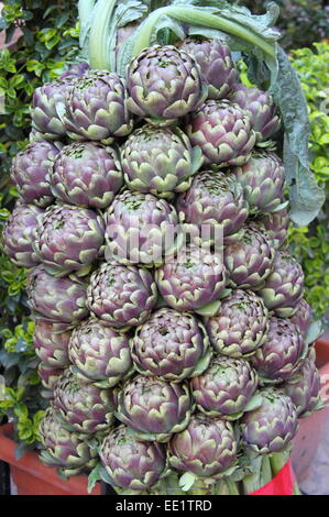 Composizione di carciofi freschi in un greengrocery Foto Stock