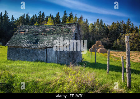 Un vecchio edificio rurale nelle zone rurali di Prince Edward Island, Canada. Foto Stock