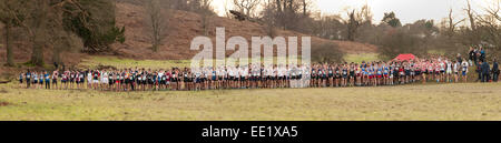 L annuale Knole Run Sevenoaks School cross country senior della gioventù 15 16 17 anni 6 miglio a correre in squadre dura gara endurance Foto Stock