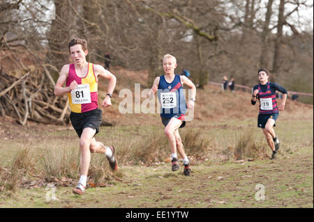 L annuale Knole Run Sevenoaks School cross country senior della gioventù 15 16 17 anni 6 miglio a correre in squadre dura gara endurance Foto Stock