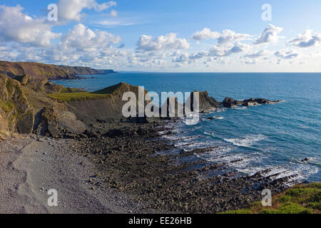 Hartland-quay Devon England Regno Unito nel sole Foto Stock