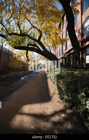 Frondosa strada alzaia della Chesapeake e Ohio Canal passando attraverso lo storico quartiere di Georgetown, Washington DC, Stati Uniti d'America Foto Stock