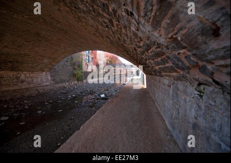 Ponte in pietra sopra la Chesapeake e Ohio Canal passando attraverso lo storico quartiere di Georgetown in autunno, Washington DC, Foto Stock