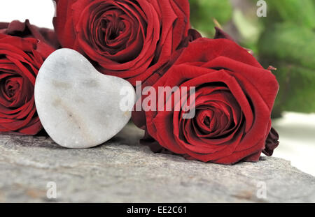 A forma di cuore e di ghiaia rose rosse Foto Stock