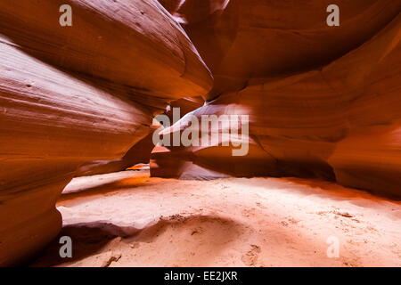 Tomaia Antelope Canyon parco tribale Navajo, Pagina, Arizona, Stati Uniti d'America Foto Stock