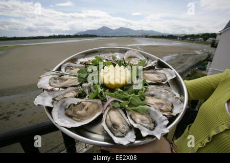 Mourne Seafood Bar - Bob e Joanne McCoubrey proprio ed eseguire la Mourne seafood bar e ristoranti a Belfast e Dundrum. Il mare Foto Stock