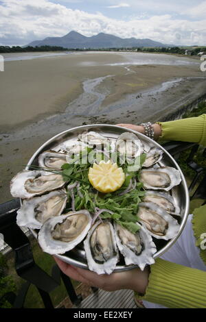 Se vi piace il pesce fresco locale a prezzo anaffordable quindi rendere il vostro modo per la Mourne seafood bar a Dundrum o Belfast. La nostra s Foto Stock