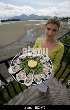 Se vi piace il pesce fresco locale a prezzo anaffordable quindi rendere il vostro modo per la Mourne seafood bar a Dundrum o Belfast. La nostra s Foto Stock