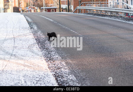 Gatto nero attraversamento strada in inverno Foto Stock